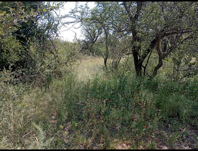 0 BEDROOM HOUSE FOR SALE IN DINOKENG GAME RESERVE